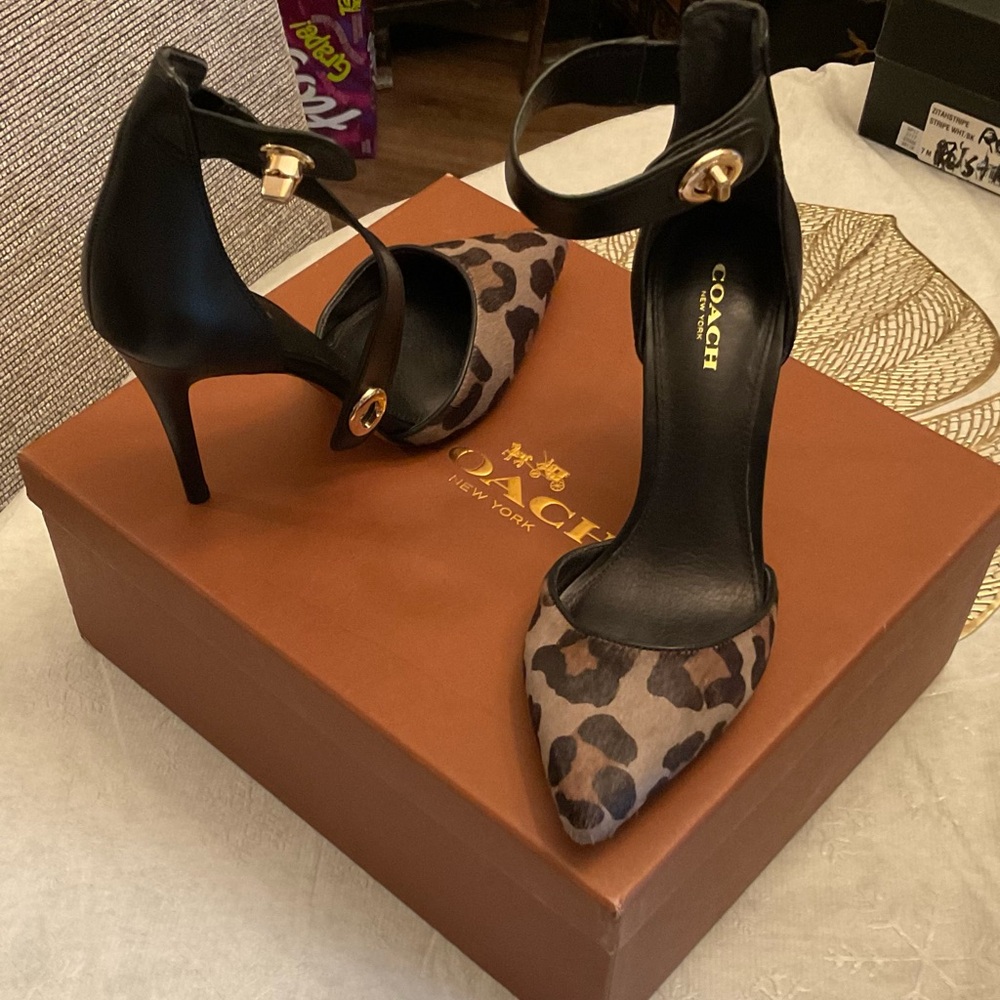 Coach 6.5 m leopard